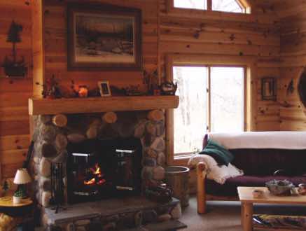A cozy greatroom with interior log siding